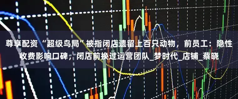尊享配资 “超级鸟局”被指闭店遗留上百只动物，前员工：隐性收费影响口碑，闭店前换过运营团队_梦时代_店铺_蔡晓