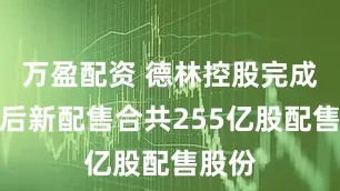 万盈配资 德林控股完成先旧后新配售合共255亿股配售股份